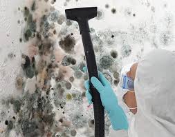 Best Mold Removal for HVAC Installations  in Reedley, CA